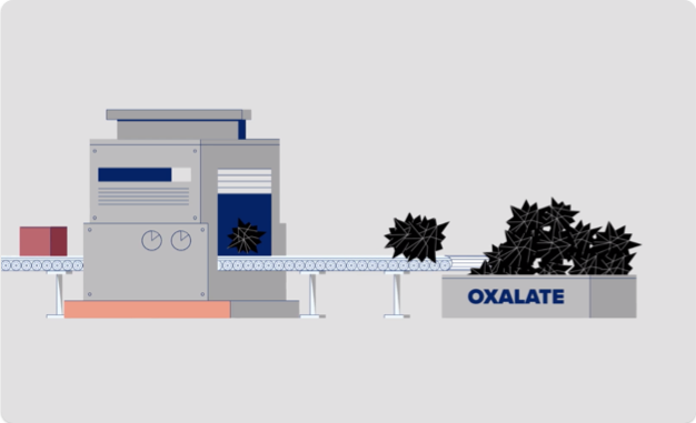 À propos de l’hyperoxalurie primitive de type 1 - Vidéo 2